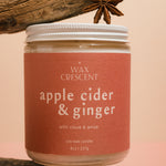 Single Apple Cider & Ginger luxury soy wax candle displayed on driftwood, showcasing its elegant design and warm, inviting colors, perfect for enhancing cozy autumn decor.