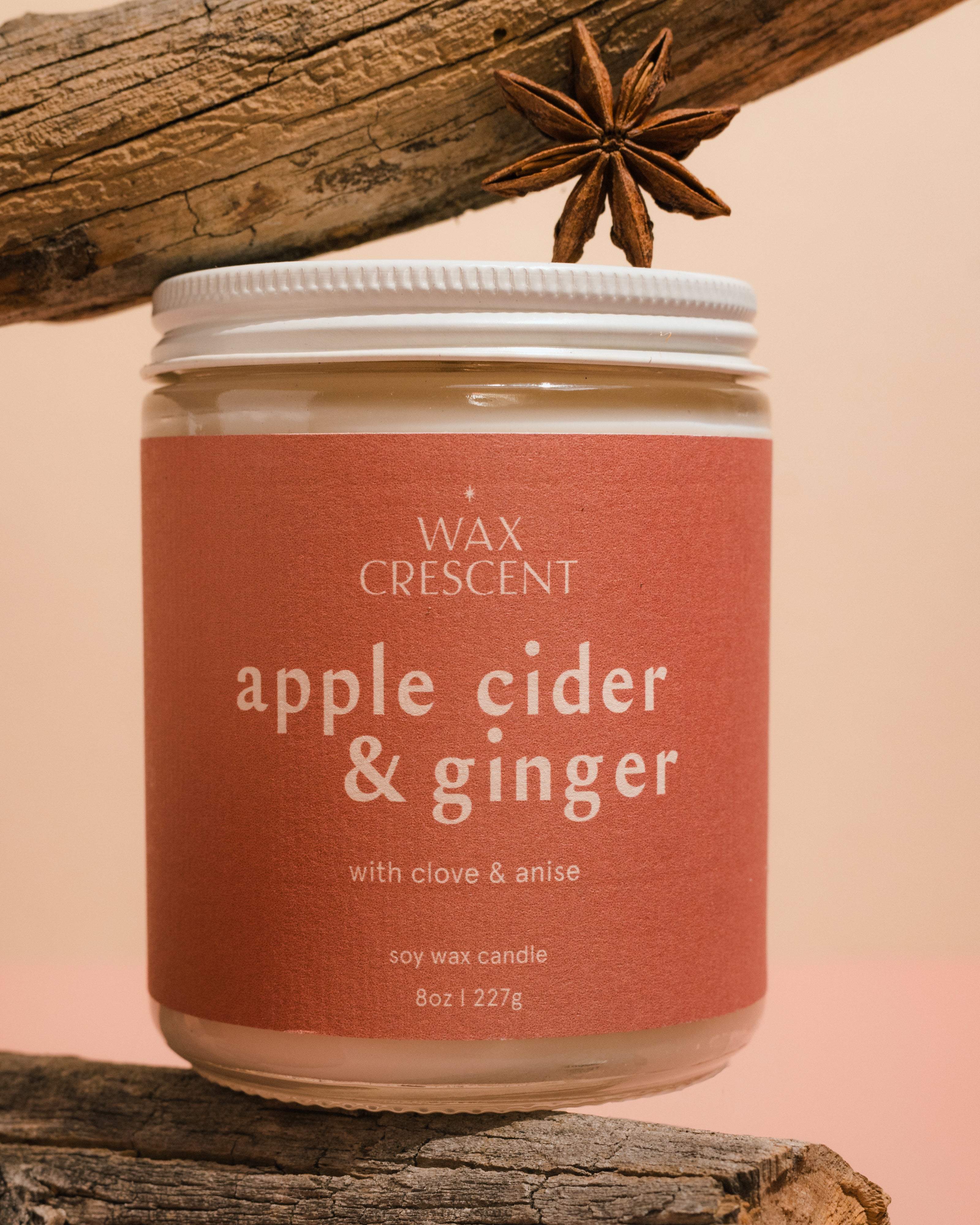 Single Apple Cider & Ginger luxury soy wax candle displayed on driftwood, showcasing its elegant design and warm, inviting colors, perfect for enhancing cozy autumn decor.