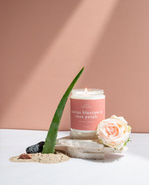 Wax Crescent Cactus Blossom & Rose Petals candle styled with aloe vera, soft pink rose, sand, and natural stones, set against a warm peach-toned background.