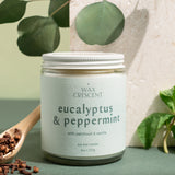 Hand-poured Eucalyptus & Peppermint candles from Wax Crescent, photographed with eucalyptus leaves and pine — a fresh, festive scent that captures the spirit of the season