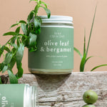 Two Olive Leaf & Bergamot luxury soy candles with olive branches and olives on a beige surface — handcrafted, non-toxic candles by Wax Crescent featuring a bright, herbal citrus aroma perfect for mindful gifting