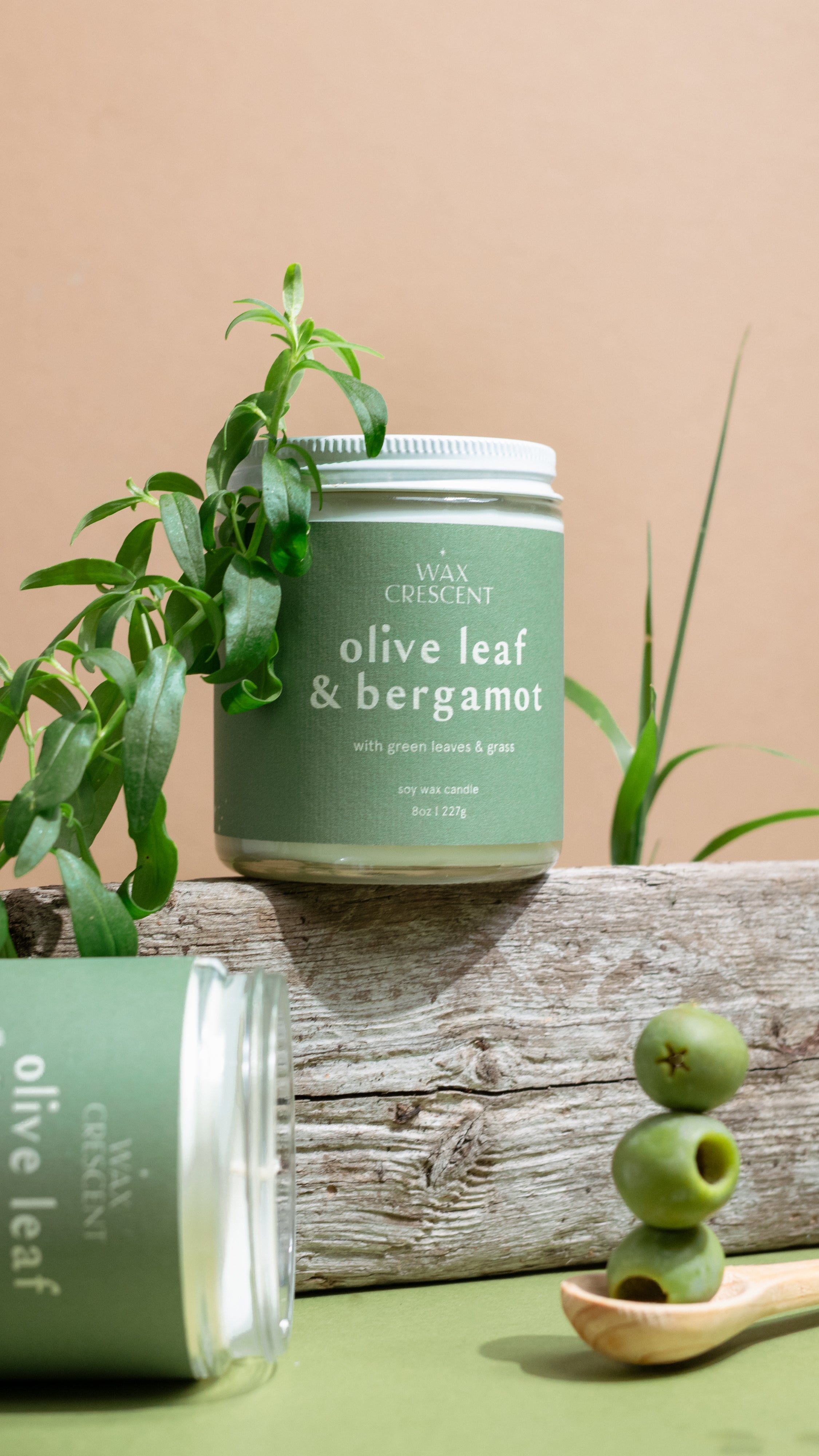 Two Olive Leaf & Bergamot luxury soy candles with olive branches and olives on a beige surface — handcrafted, non-toxic candles by Wax Crescent featuring a bright, herbal citrus aroma perfect for mindful gifting