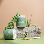 Two Olive Leaf & Bergamot soy candles with olive branches and fresh olives on a beige background — luxury hand-poured candles by Wax Crescent inspired by Mediterranean calm and golden light.