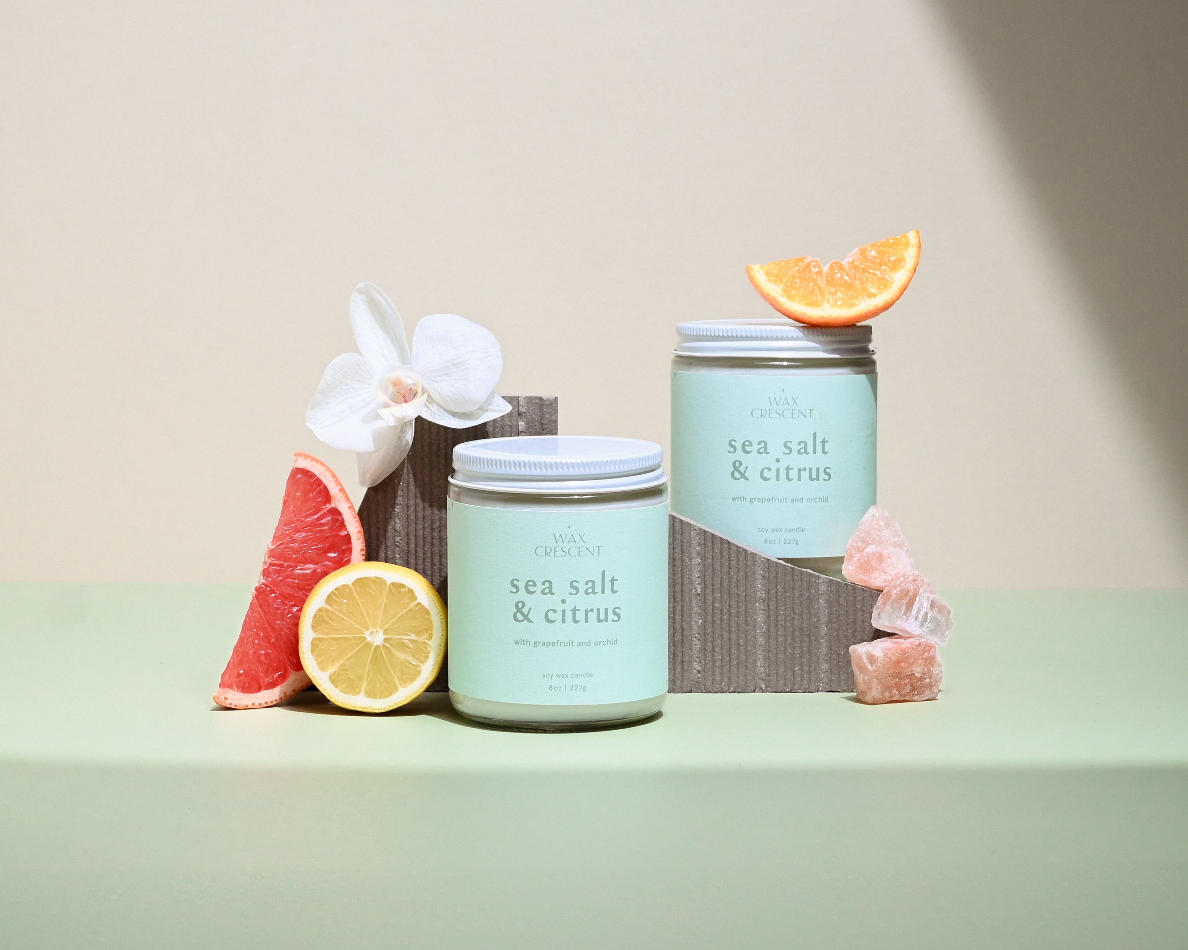 Wax Crescent Sea Salt & Citrus soy candle with fresh grapefruit, lemon, and orchid, hand-poured for a refreshing, coastal-inspired ambiance.