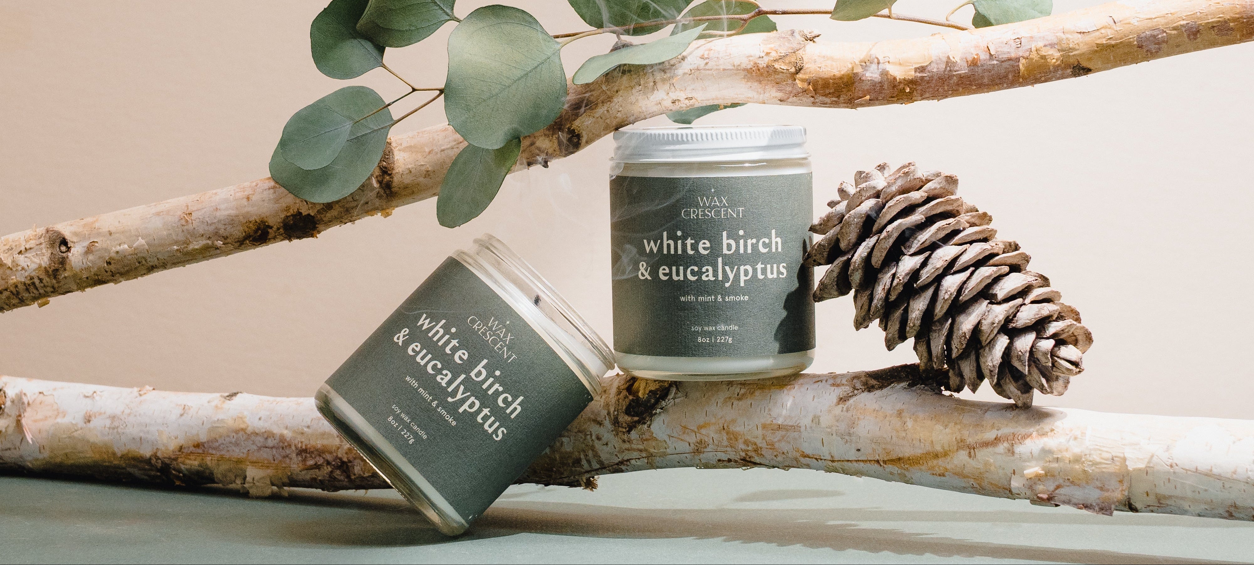 Two candles labeled 'White Birch & Eucalyptus' on a branch with leaves and a pine cone.