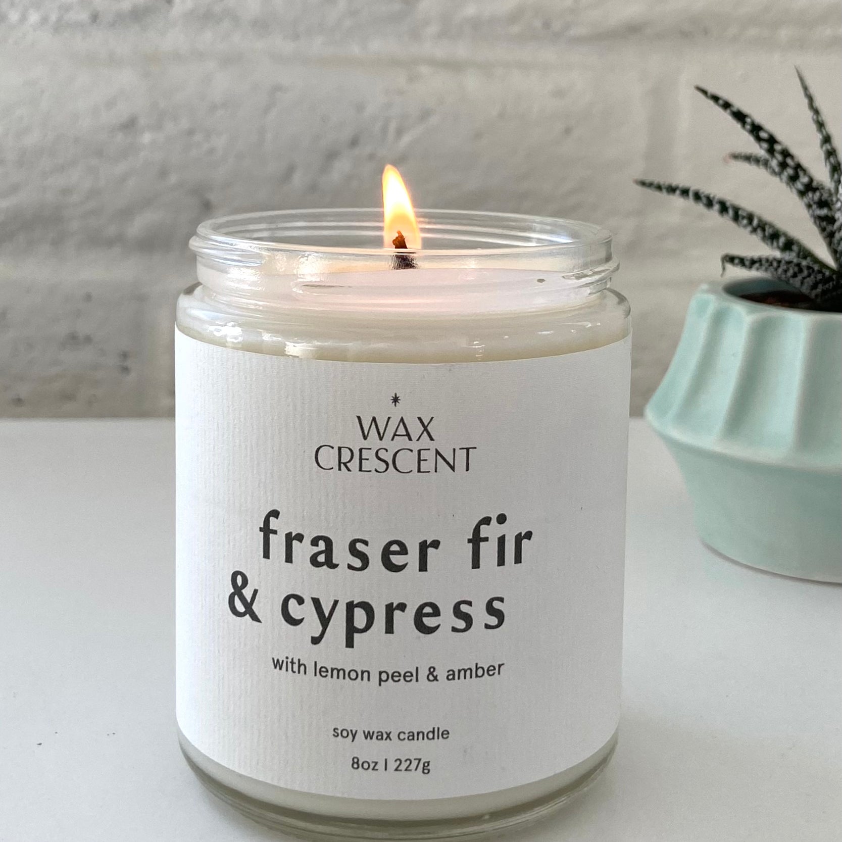 Fraser Fir & Cypress soy candle lit, featuring a minimalist white label with a clean background and a potted plant, hand-poured in Colorado